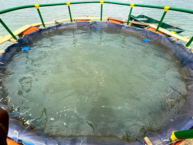 Structure sur le plan d'eau