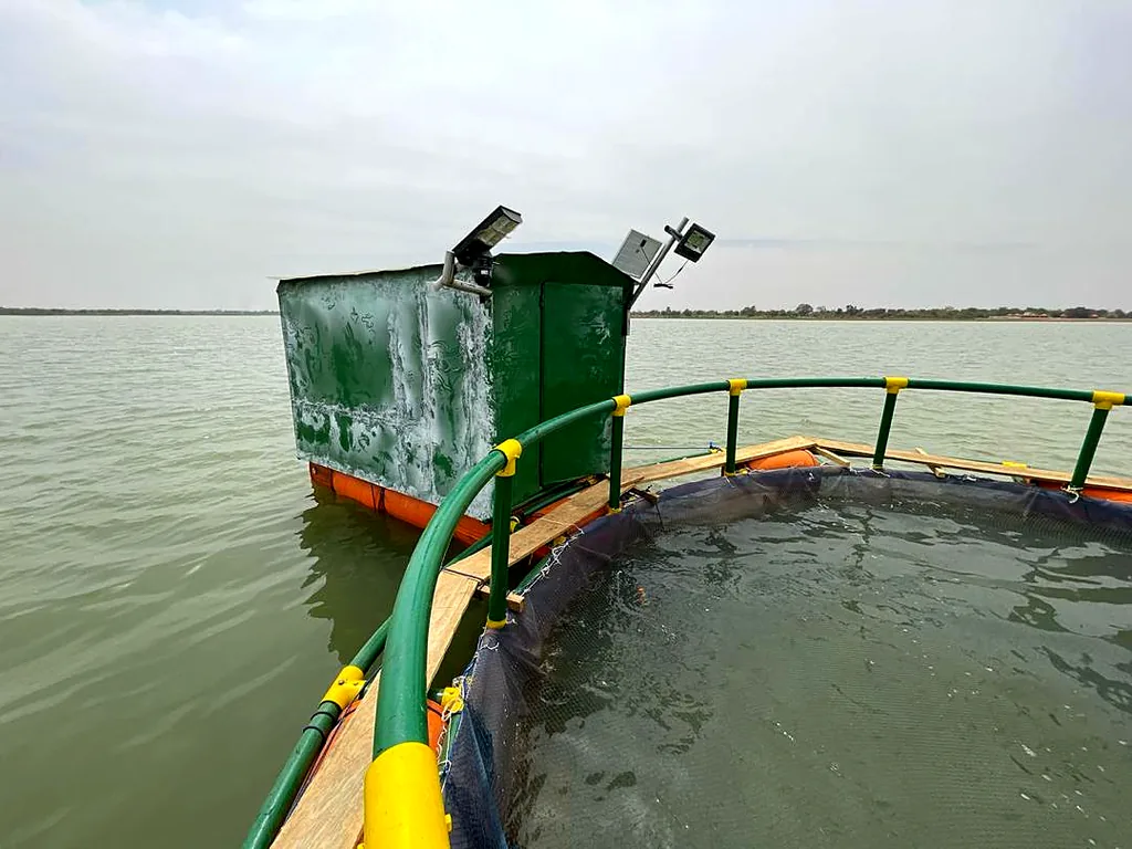 Cages flottantes sur le barrage