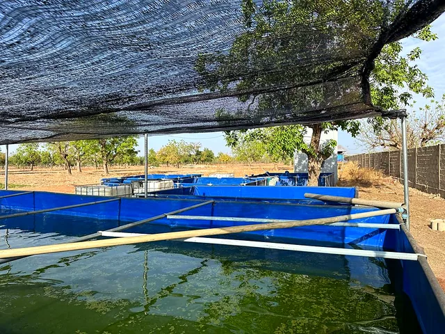 Bassins sous ombrière