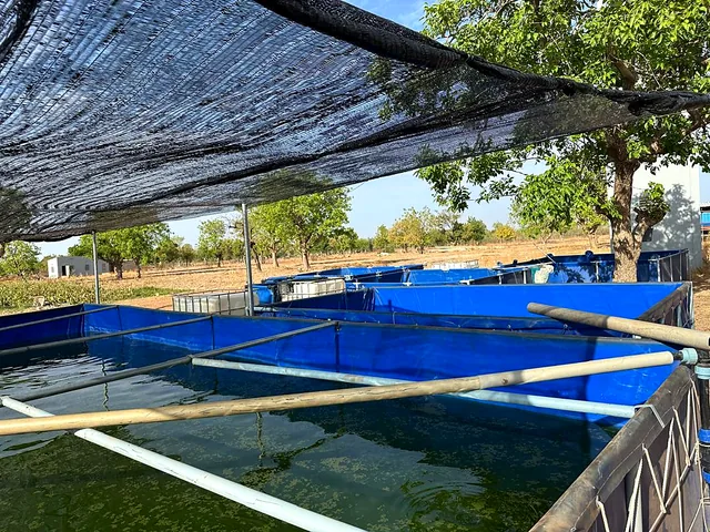 Bassin en production