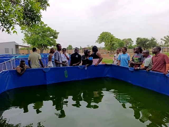 Travaux pratiques au bassin